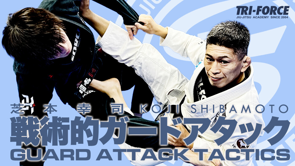ザ BJJフォーミュラ柔術4DVDセット ザ BJJフォーミュラ柔術4DVDセット