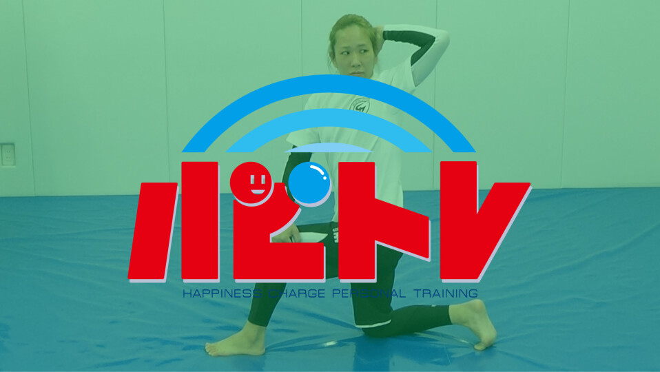 小岩健一 「柔術愛好家のためのケガ予防トレーニング」 A. 総合編