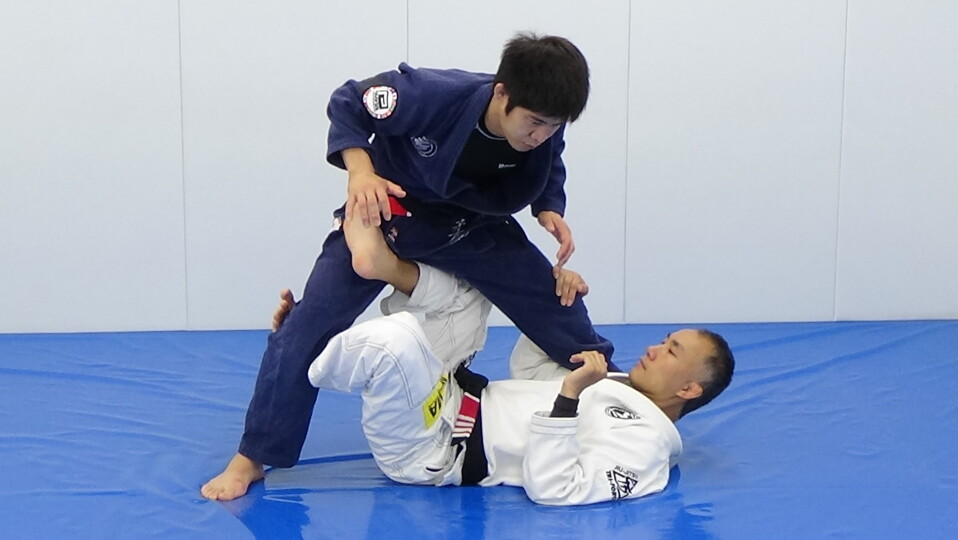 ザ BJJフォーミュラ柔術4DVDセット ザ BJJフォーミュラ柔術4DVDセット ザ BJJフォーミュラ柔術4DVD